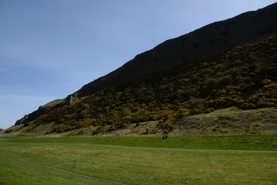 DSC_7346 (Large).JPG